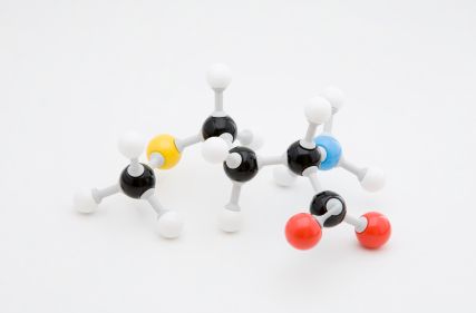 amino acid molecule